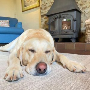 dog friendly self catering holiday cottages in Devon